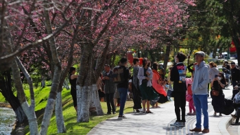 Đà Lạt - điểm đến được yêu thích nhất dịp 30/4