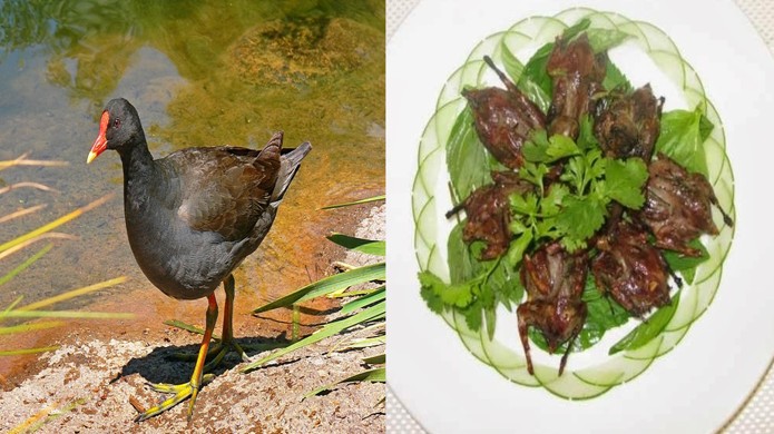 Đặc sản có tên độc lạ, xưa chẳng ai dám ăn, giờ thành món ăn nổi tiếng khắp miền Tây