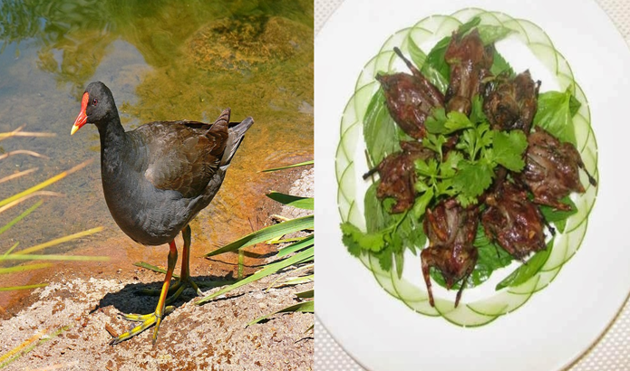 Đặc sản có tên độc lạ, xưa chẳng ai dám ăn, giờ thành món ăn nổi tiếng khắp miền Tây