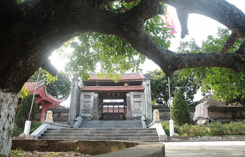 Cây lộc vừng có niên đại khoảng 600 năm.