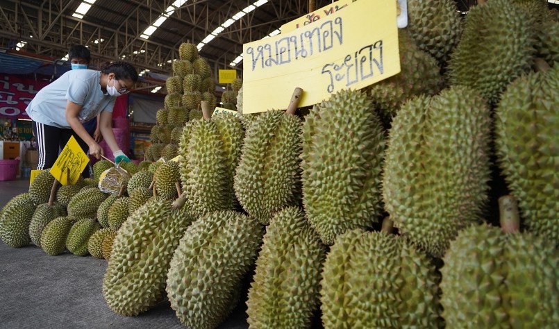 Sầu riêng Thái Lan vẫn đang chiếm ưu thế tại thị trường Trung Quốc.
