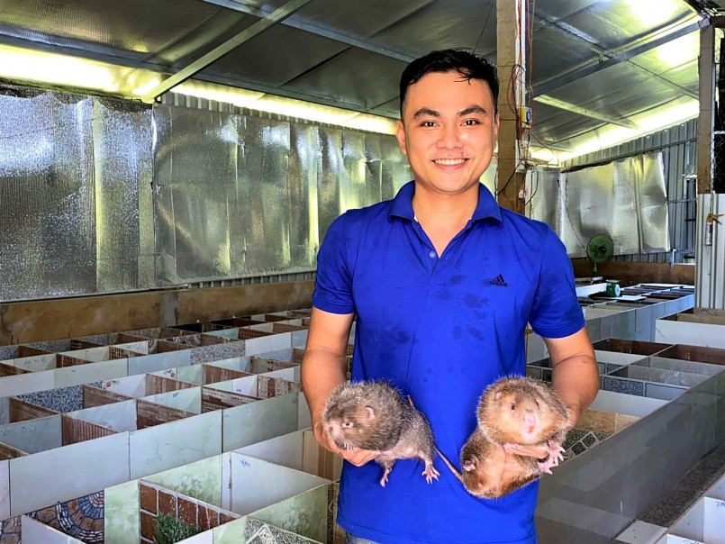 Nhờ nuôi dúi thành công, mỗi tháng anh Phong thu lãi hơn 15 triệu đồng