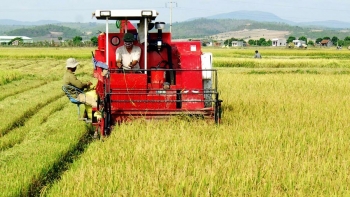 Hưng Yên đẩy mạnh cơ giới hóa trong sản xuất nông nghiệp