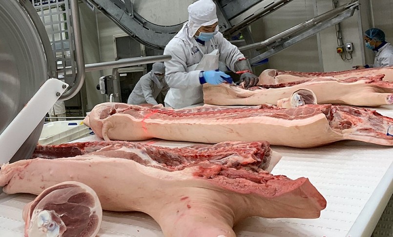 Giá heo hơi hôm nay (02/4) giảm mạnh do sức mua yếu và những bất cập trong khâu phân phối thịt heo.