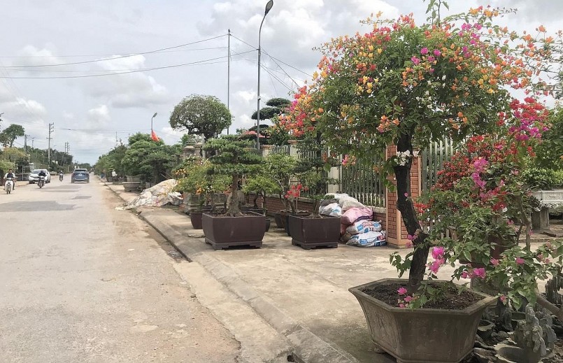 Bất kỳ con đường, ngõ xóm nào tại làng Vị Khê (xã Điền Xá) cũng tràn ngập sắc hoa, cây cảnh. Bất kỳ con đường, ngõ xóm nào tại làng Vị Khê (xã Điền Xá) cũng tràn ngập sắc hoa, cây cảnh.