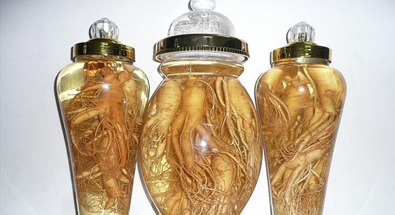 Nhân sâm tươi thường được dùng để ngâm rượu. Nhân sâm tươi thường được dùng để ngâm rượu.