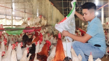 9X trở thành triệu phú gà siêu trứng