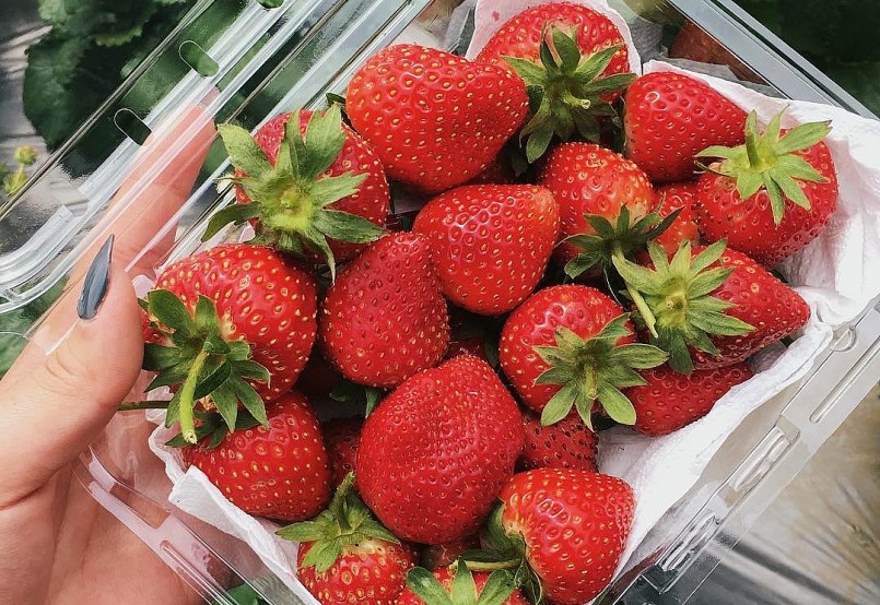 Dâu tây giá rẻ nhưng người tiêu dùng ít mua vì sợ là hàng Trung Quốc.