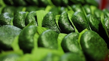 Bánh ngải – thức quà thơm ngon, lạ miệng