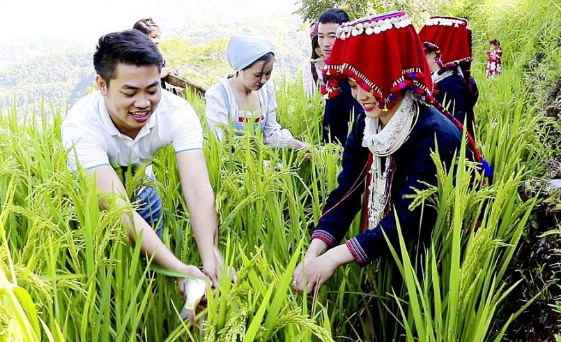 Nuôi cá chép trên ruộng bậc thang đã mở ra loại hình du lịch hấp dẫn ở vùng cao. (Ảnh minh họa). Nuôi cá chép trên ruộng bậc thang đã mở ra loại hình du lịch hấp dẫn ở vùng cao. (Ảnh minh họa).