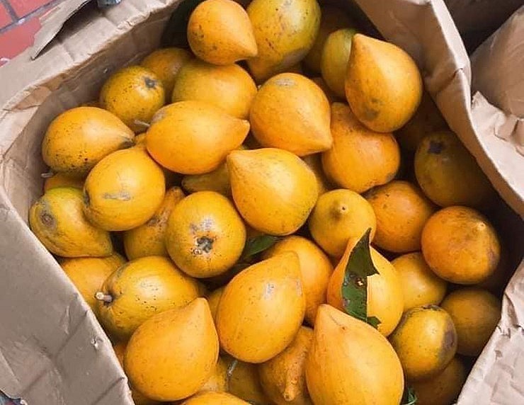 Được biết, quả trứng gà cũng có rất nhiều công dụng tốt cho sức khỏe như chống oxi hóa, tốt cho mắt, tiêu hóa tốt, làm đẹp da...