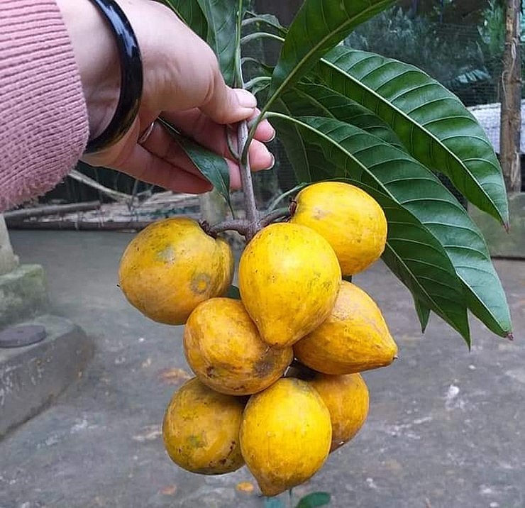 Quả trứng gà có giá từ 30.000-35.000 đồng/kg, một số nơi còn bán với giá lên tới 55.000 đồng/kg.