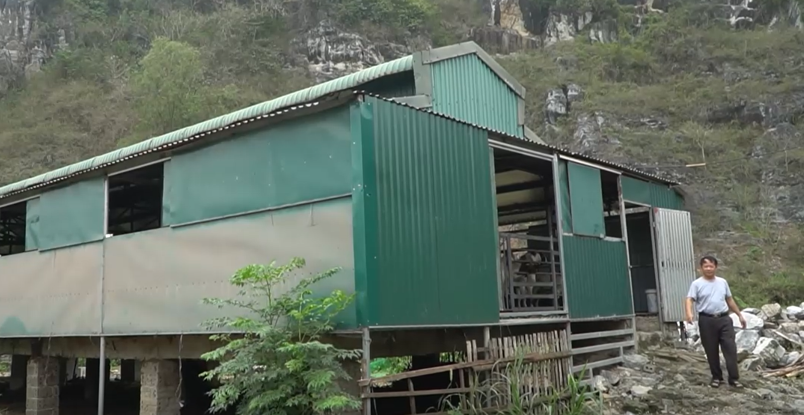 Trại nuôi dê của ông Toản được đầu tư rất bài bản.