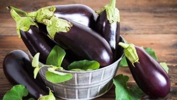 Cà tím đang vào mùa, ăn thế nào để không gây hại sức khỏe