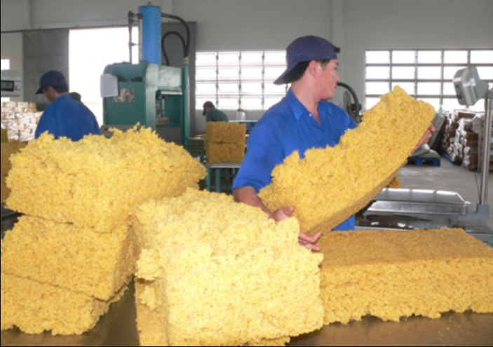 Quý I/2023, xuất khẩu cao su giảm 22,9% về giá trị