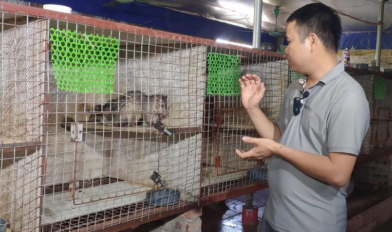 Anh Lâm cho biết nuôi don thu lợi nhuận cao nhưng vốn đầu tư khá lớn.