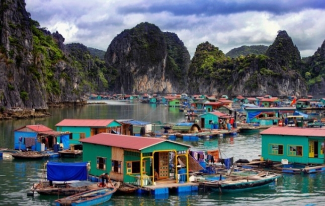 Làng chài Cái Bèo 