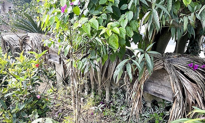 Nghề nuôi ong ở Đức Lạng thường kết hợp với kinh tế vườn đồi.