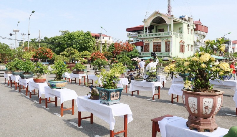 Hoa mẫu đơn biểu tượng cho hôn nhân hạnh phúc. Hoa mẫu đơn biểu tượng cho hôn nhân hạnh phúc.