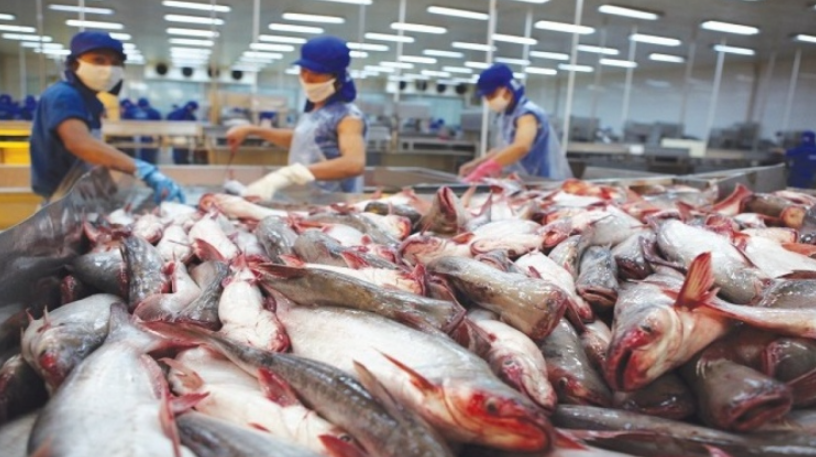 Singapore trở thành điểm sáng trong xuất khẩu cá tra Việt Nam 2023