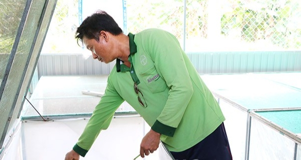 Anh Chương Hoàng Khanh đang cho dế ăn Anh Chương Hoàng Khanh đang cho dế ăn