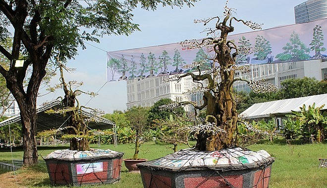 Cặp khế kiểng được rao giá 12 tỷ đồng.