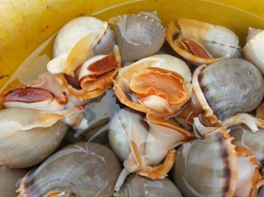 Đặc sản xưa ít ai biết, giờ trở thành món ăn được yêu thích, muốn mua phải đặt trước