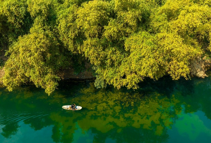 Tỷ lệ độ che phủ rừng toàn tỉnh Bắc Giang trong năm 2022 đạt 38%