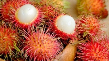 Những người nên tránh xa chôm chôm kẻo rước họa vào thân