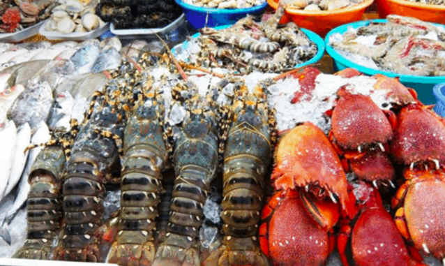 Ngư trường nổi tiếng với nhiều loài thuỷ hải sản đa dạng, nhất là tôm hùm và mực