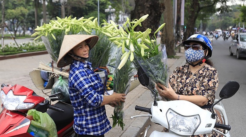 Hoa loa kèn từ vườn theo những chuyến xe rong ruổi trên phố, nhiều người yêu thích loài hoa tháng tư vởi sắc trắng tinh khôi nhẹ nhàng.