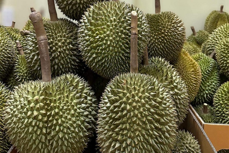 Sầu riêng Thái Lan được rao bán tràn ngập chợ Việt.