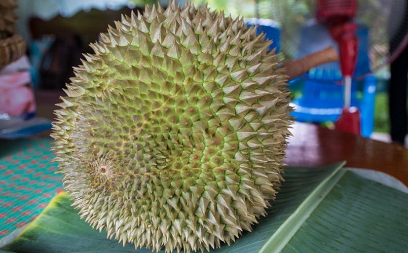 Có loại sầu riêng nhập khẩu giá tới 4 triệu đồng/quả.