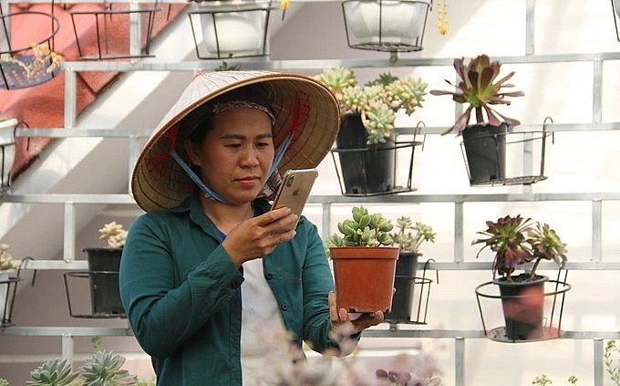 Luân còn tận dụng mạng xã hội, lập các trang Facebook, Youtube để tư vấn trồng sen đá.