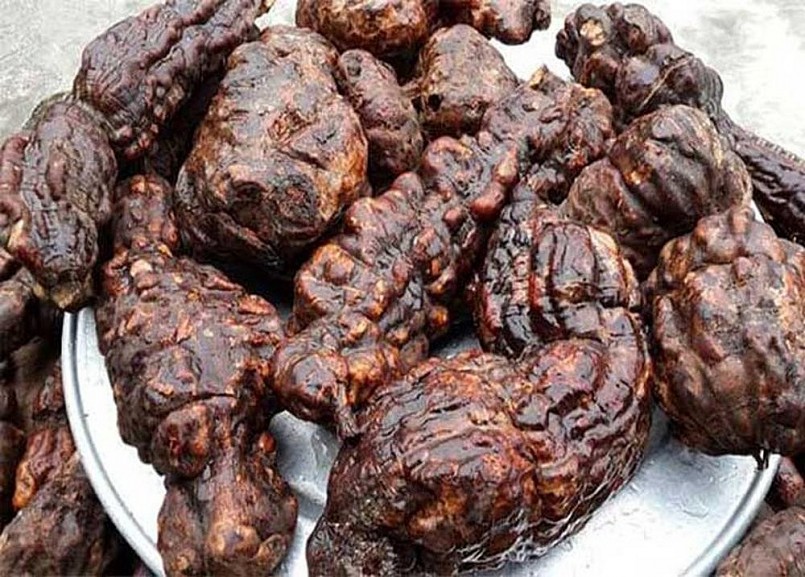 Hà thủ ô có hai loại đỏ và trắng