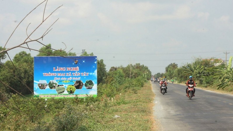 Long An: Làng nghề trồng mai xã Tân Tây được kỳ vọng phát triển du lịch