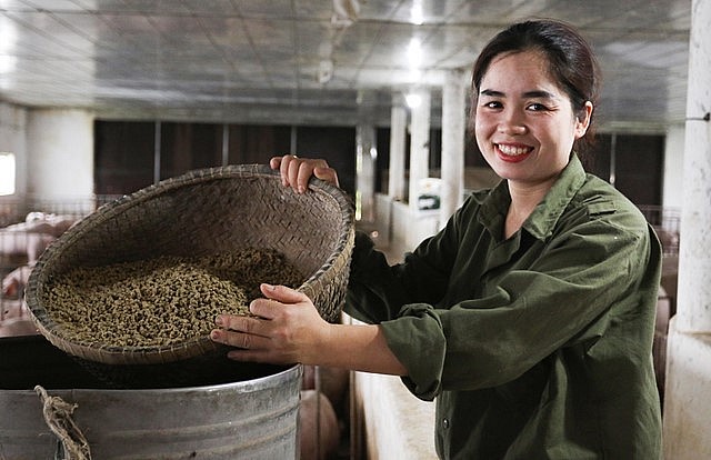 Sau bí kịch niềm vui đã trở lại với nữ chủ trại heo bằng thảo dược với doanh thu 500 triệu đồng/năm. Sau bí kịch niềm vui đã trở lại với nữ chủ trại heo bằng thảo dược với doanh thu 500 triệu đồng/năm.