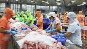 Thủy sản Việt Nam đang giữ vị trí số 1 trên thị trường Australia