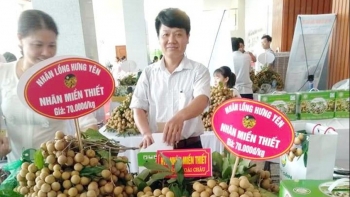 456 hợp tác xã và 276 tổ hợp tác nông nghiệp đang hoạt động tại Hưng Yên