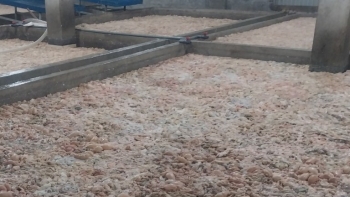 Xử phạt Công ty TNHH Đông Loan 34 triệu đồng do kinh doanh thực phẩm không rõ nguồn gốc