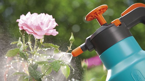 Lót 3 thứ “lặt vặt” trong nhà xuống đáy chậu hoa, lỡ tay tưới nhiều nước cũng không lo thối rễ