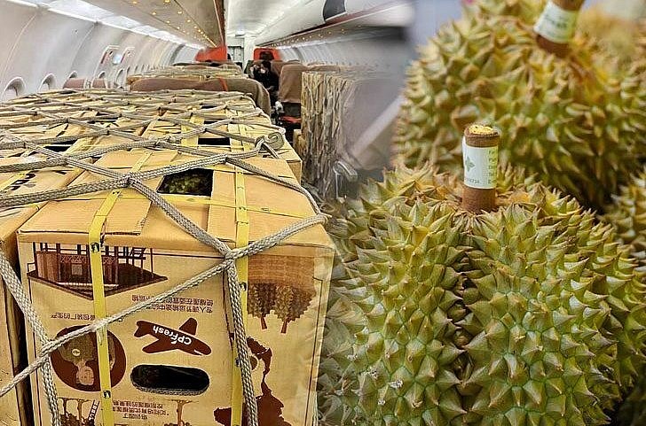 Lô sầu riêng tươi được vận chuyển từ Thái Lan đến sân bay quốc tế Bạch Vân Quảng Châu, thành phố Quảng Châu, tỉnh Quảng Đông, Trung Quốc.