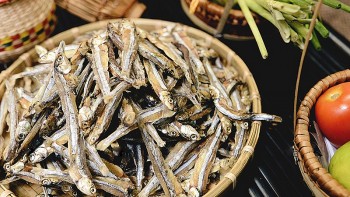 Loại cá "nhỏ mà có võ", vừa làm gia vị trứ danh vừa làm kho thuốc quý