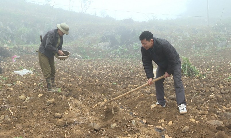 Sầu riêng đã trở thành loại trái cây ưa thích