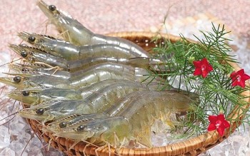 Australia vẫn là thị trường quan trọng của tôm Việt Nam năm 2023