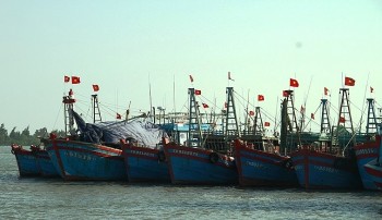 Thanh Hoá phát triển thuỷ sản gắn với bảo vệ chủ quyền quốc gia