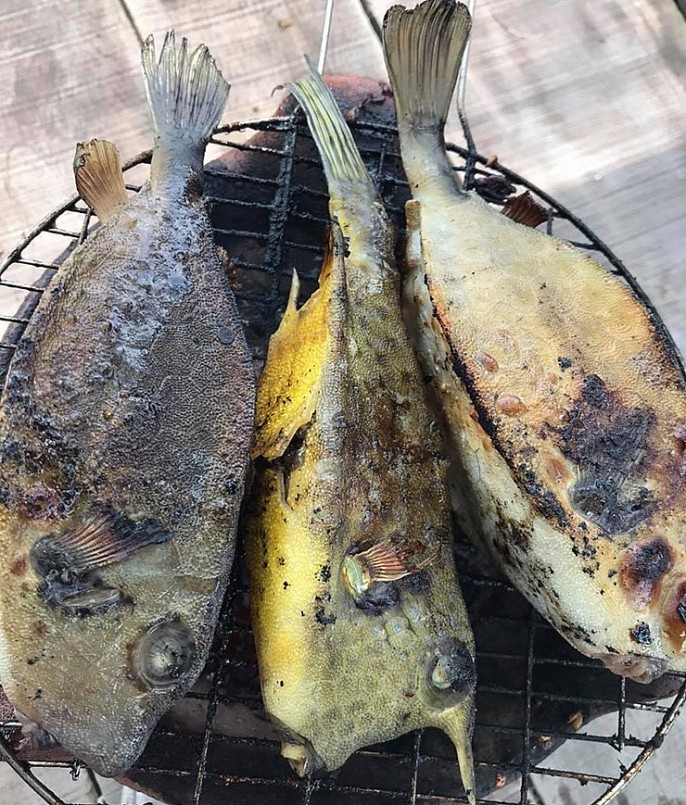 Cá bò hòm là đặc sản vô cùng nổi tiếng ở Phú Yên, có mặt trong các nhà hàng, quán ăn khiến thực khách mê mẩn.