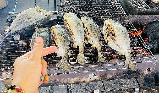 Cá bò hòm ngon nhất khi nướng trên than hoa.