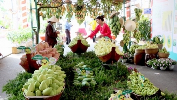 Lễ hội xoài Đồng Tháp sẽ được tổ chức vào dịp 30/4 – 1/5