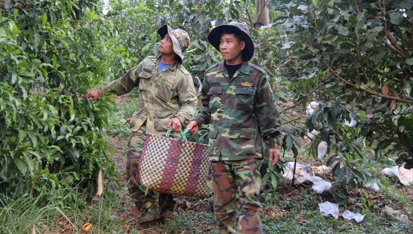 Quá trình sản xuất, anh Đức luôn đặt chất lượng sản phẩm lên hàng đầu với những trái vú sữa Hoàng Kim chất lượng cao. Quá trình sản xuất, anh Đức luôn đặt chất lượng sản phẩm lên hàng đầu với những trái vú sữa Hoàng Kim chất lượng cao.